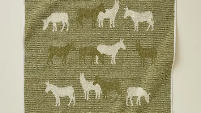 Linge de maison et vaisselle 